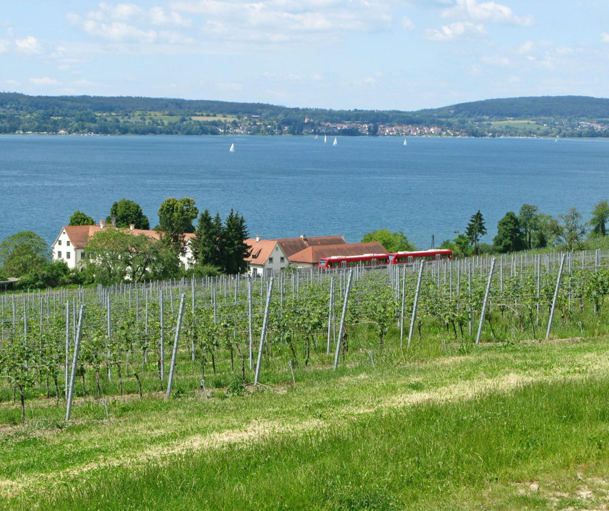 Ueberlinger Ferienidylle Apartman Uberlingen Kültér fotó